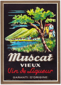Muscat VieuxVin de Liqueur